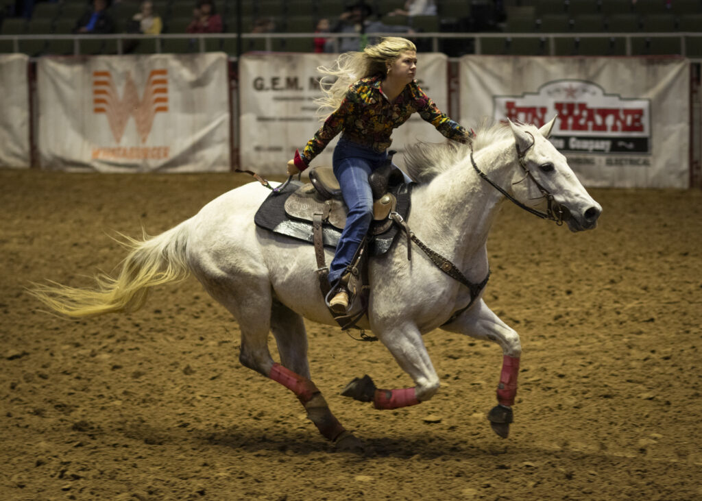 rodeo, san antonio stock show