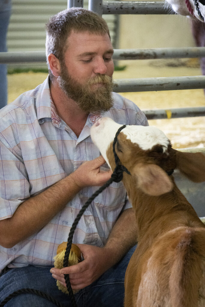 Micheal holds his calf’s chin up for a kiss in the Cattle Barn at the San Antonio Stock Show and Rodeo Feb.12. Photo by Itzabel Lara.