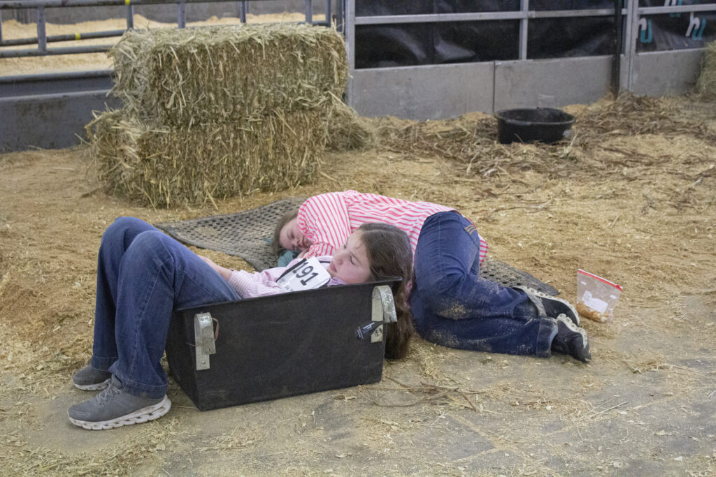 Ellie Petrash and Teagan Wilson rest on the floor of the cattle section at the San Antonio Stock Show & Rodeo Feb.12. Photo by Aaron Martinez.