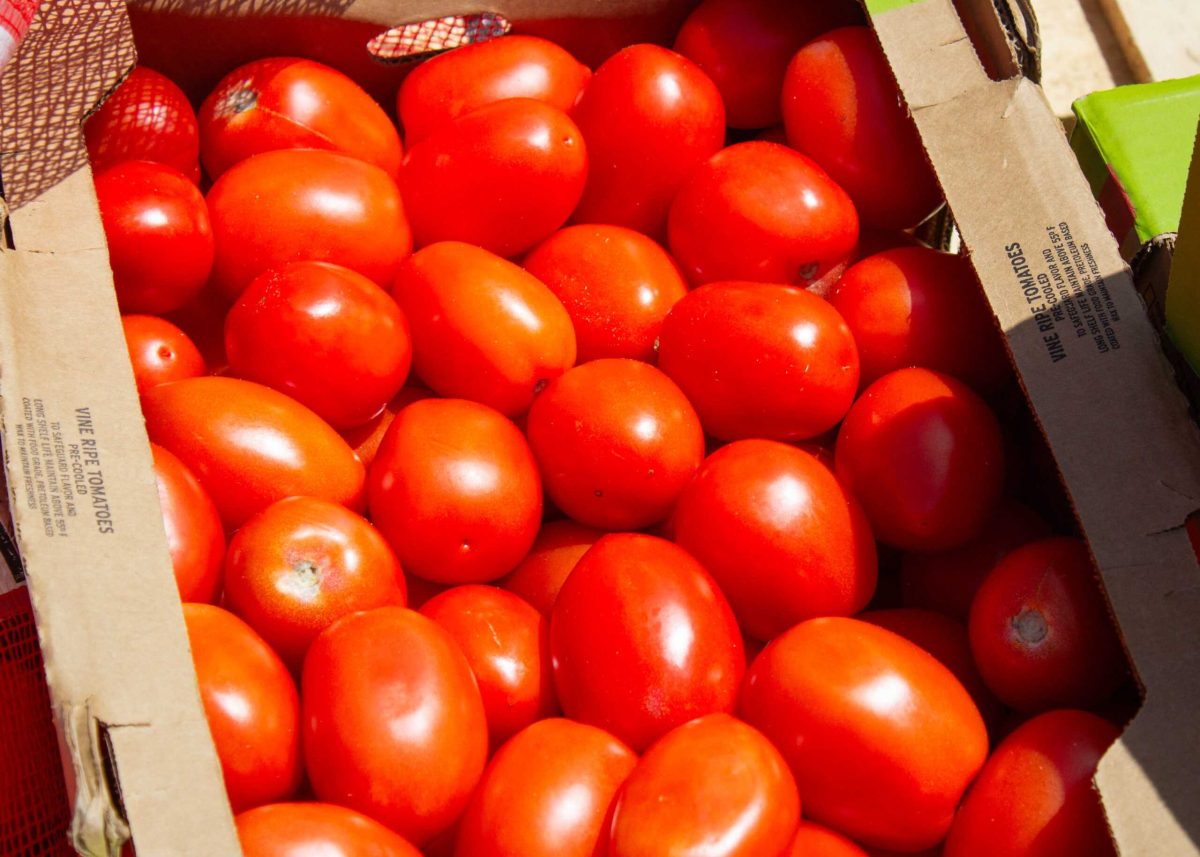 Food Bank