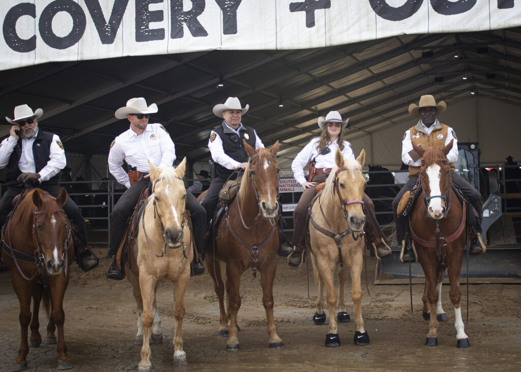 San Antonio Police Department officers on horseback patrol the San Antonio Stock Show & Rodeo Feb. 12. Photo taken by Sara Leija.