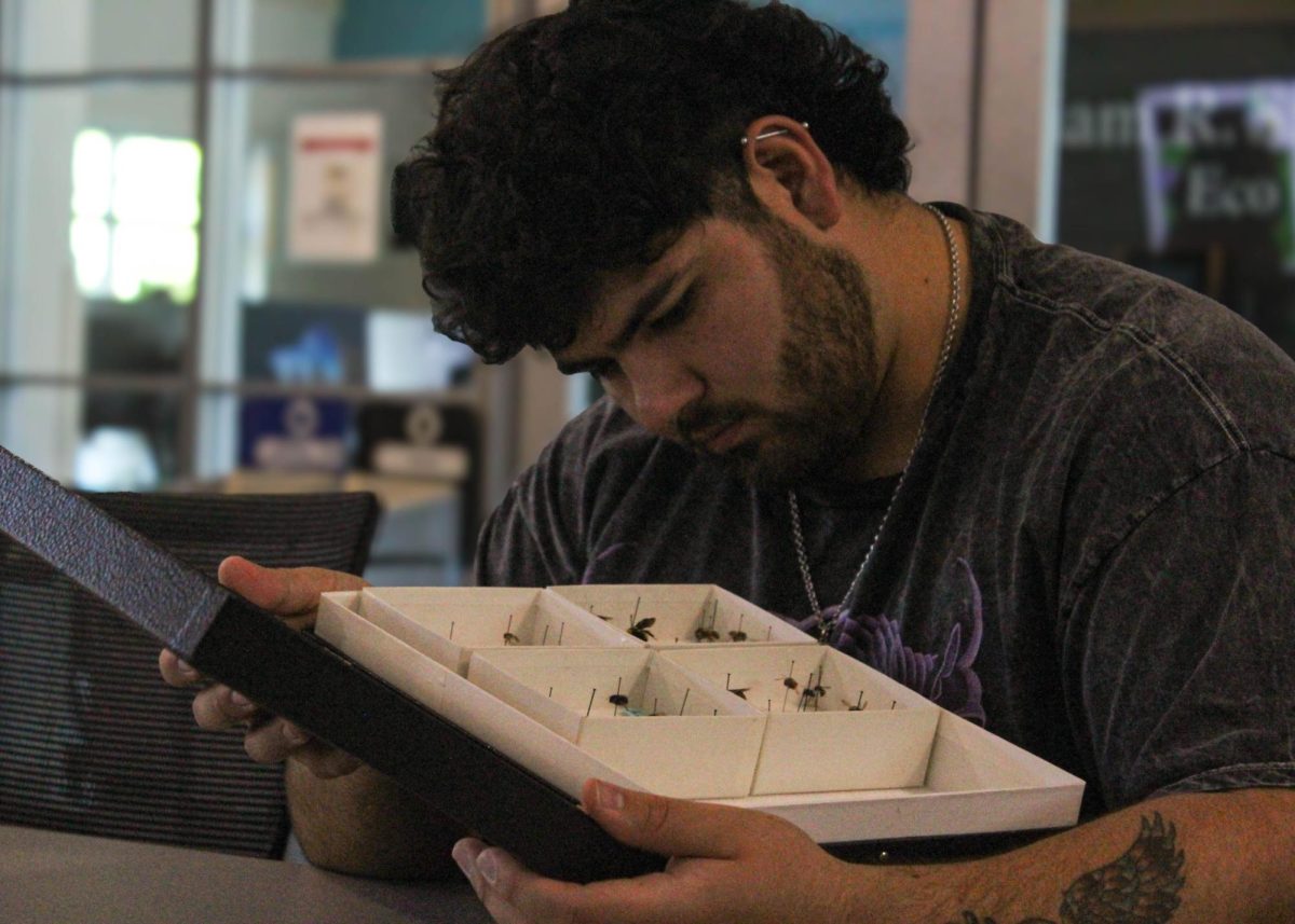 Roger Anthony Garcia, an environmental sustainability major attended a lecture hosted by Entomologists from Texas A&M on beneficial insects native to Texas for SAC Students on Thursday at the Eco Centro building.